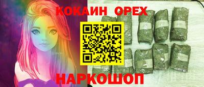 крисы Дубна