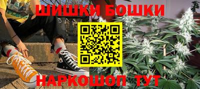 крисы Дубна